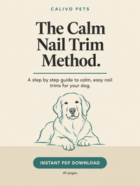The Calm Nail Trim Method (Digital Guide)