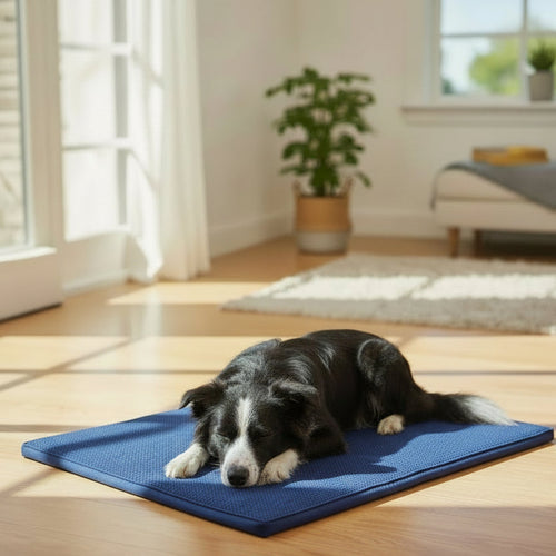Self Cooling Gel Pet Dog Cat Cool Mat Pad Bed Mattress Heat Relief Non-Toxic Cooling Technology to Help Your Pets Cool down in the Summer Heat SIZE 60CM X 40CM