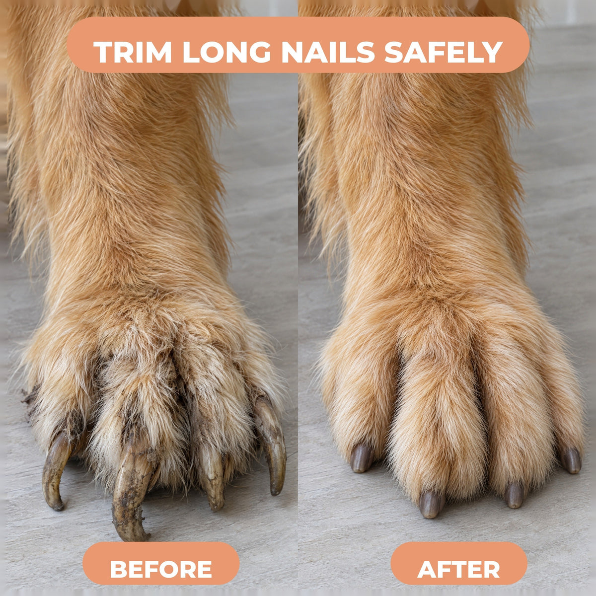 Black - Calivo Quiet Paws nail grinder before and after trimming long nails