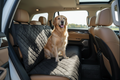 Calivo Car Seat Protector - waterproof dog hammock installed across a car back seat