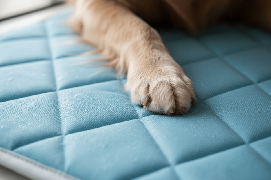 Calivo CoolMat - Cooling Mat for Dogs & Cats