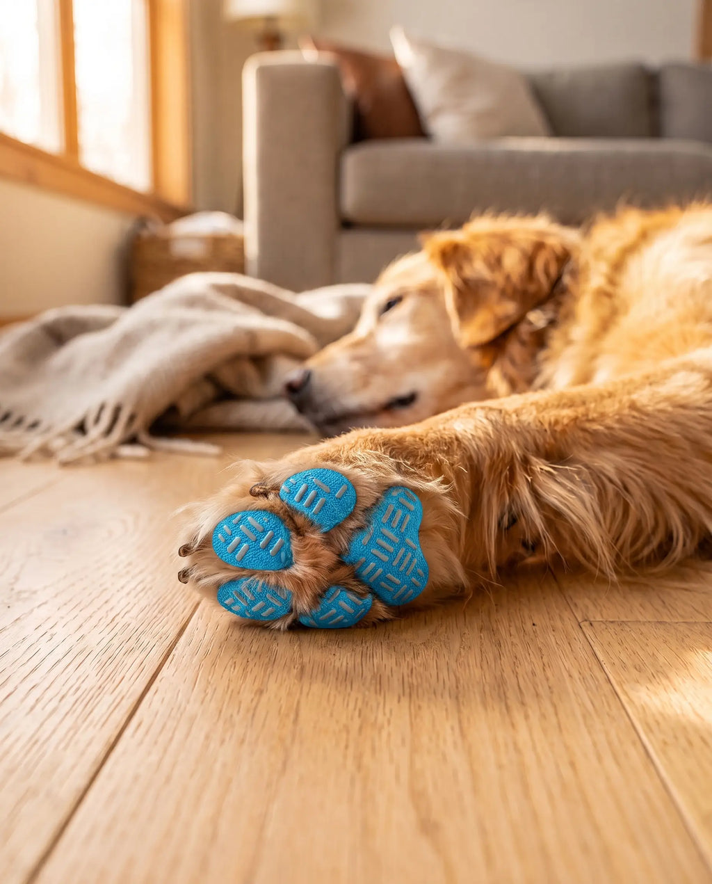 SteadyStep Paw Grips — Full Paw Set (4 Grips)