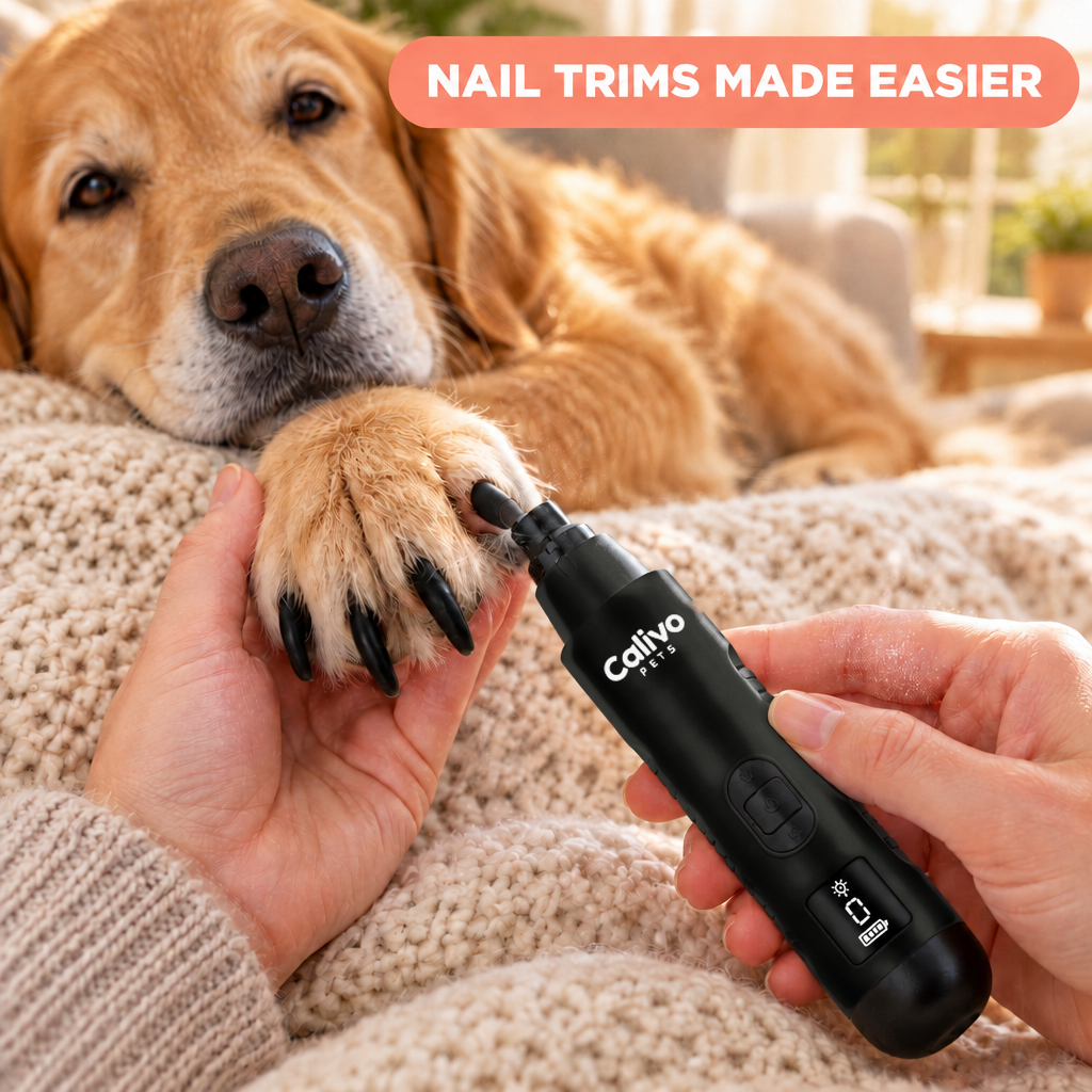 Black - Calivo Quiet Paws nail grinder trimming a dog's long nails