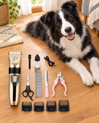 Calivo pet grooming kit laid out on the floor next to a border collie