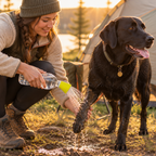Rinsing a black labrador at a campsite