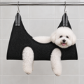 Black sling - Bichon Frise resting sideways in the black mesh grooming sling, front view