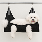 Black sling - Bichon Frise lying along the black mesh grooming sling