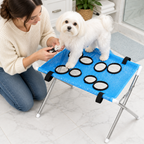 Blue stand - Maltese standing calmly on the blue grooming stand during a nail trim