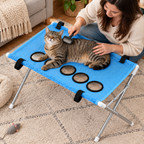 Blue stand - tabby cat being brushed on the blue grooming stand