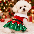 Close-up of the Santa dress collar, belt and sequin skirt