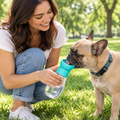 French bulldog drinking from the turquoise pet water bottle in a park