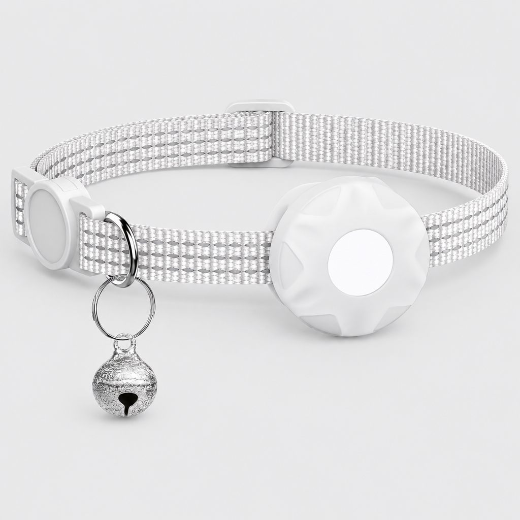 White - cat collar on its own