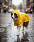 Calivo Hi-Vis Dog Raincoat with reflective safety stripe, product photo